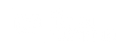 Frizc-Fi